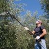 2-in-1 Cordless Pole Saw & Mini Chainsaw Electric Mini Chainsaw Length Adjustable Cordless Chain Saw with 2Pcs 1500mAh Batteries 4in/6in Chains for Tr