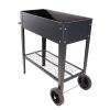 Aveyas Mobile Metal Raised Garden Bed Cart with Legs, Elevated Tall Planter Box with Wheels for Outdoor Indoors House Patio Backyard Vegetables Tomato